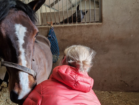 Easing Equine Discomfort and Stiffness: Tips for a Flexible and Happy Horse