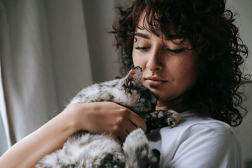 pexels-sam-lion-6001219.jpg