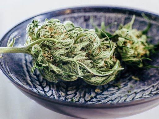 Thailand Tightens Cannabis Laws, Restricting Use to Medical Purposes Amid Calls for Recriminalization