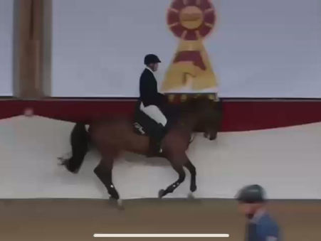 Impressionen des DSP-Galaabends 2026 - Teil 1