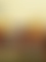 Resultados do 4º Encontro Estadual de Cineclubes ES