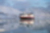hurtigruten-svalbard-ADVENCRUISE1021-3c1f0e41b3e2446ab4cad580ba935144.jpg