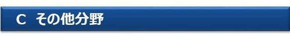 その他分野.jpg