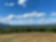 IMG_1982.jpeg