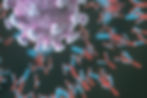 ree