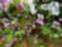 IMG_3996.jpeg
