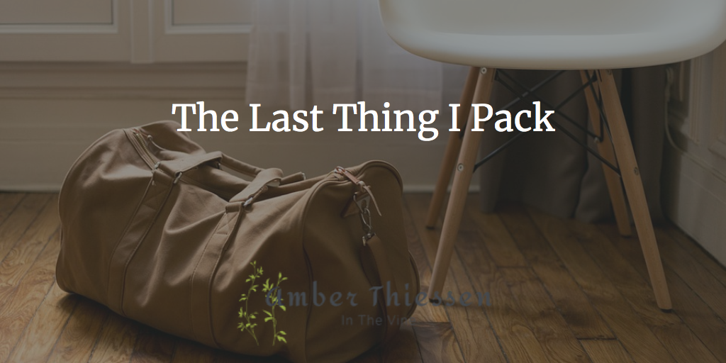 ipack backpack review ipack backpack review