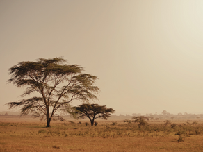 I Can't Believe I Get To Do This