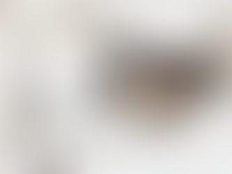 22 Favourites From My Shelf in 2022