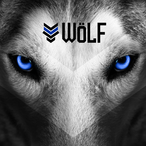 Brand Identity, Packaging, guidelines, wolf, total tools, logo