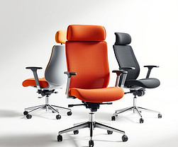Ergonomic high end office chair collecti