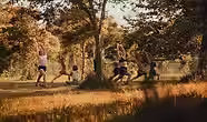 6bcaa4_574dedf9e3f84f23898ebf92f97d5308~mv2.jpg.avif