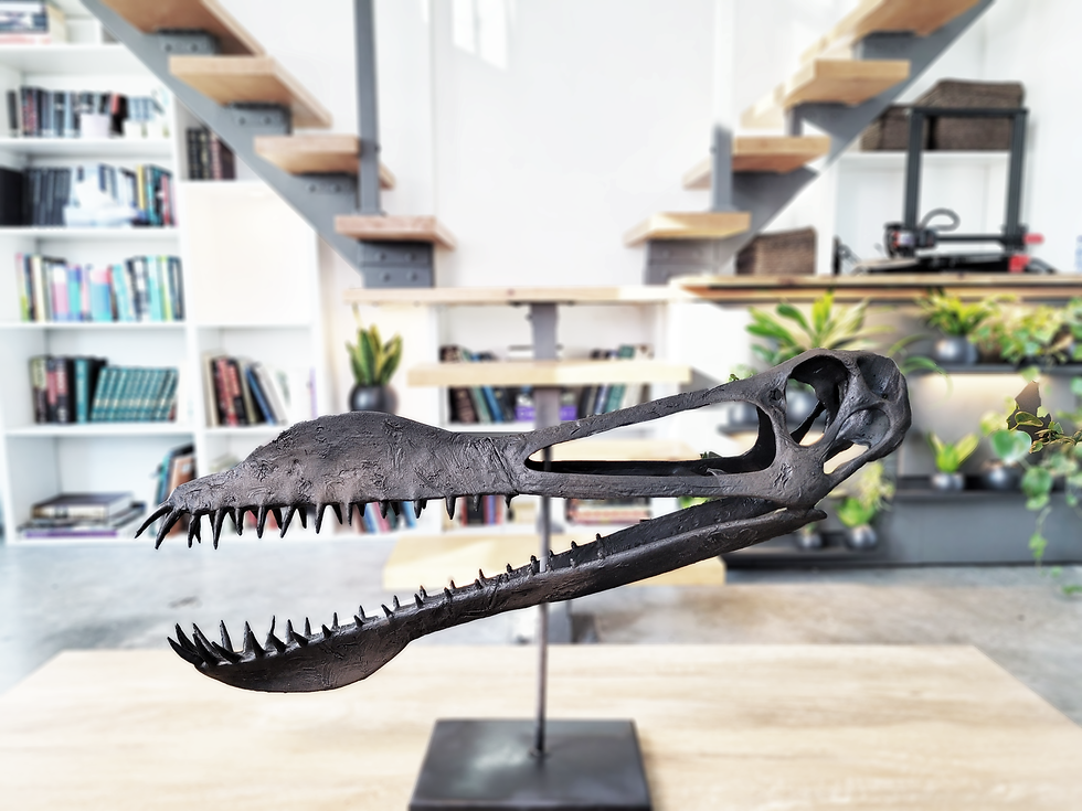 Thumbnail: Giant Toothed Pterosaur Skull
