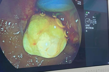 WhatsApp Image 2025-11-05 at 11.29.35_18c32dfc.jpg