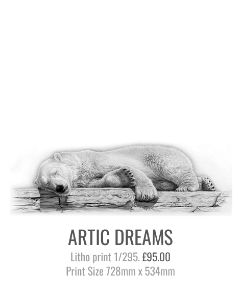 ARTIC DREAMS