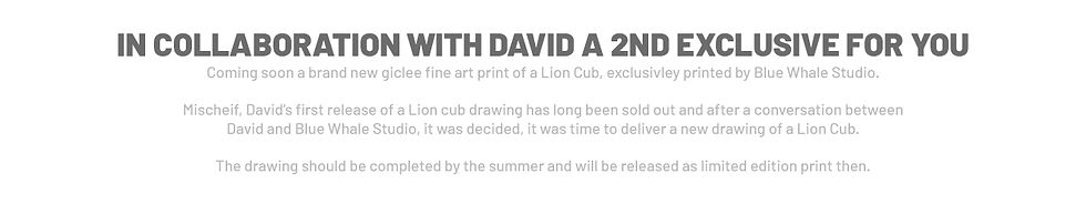 exclusive original.jpg