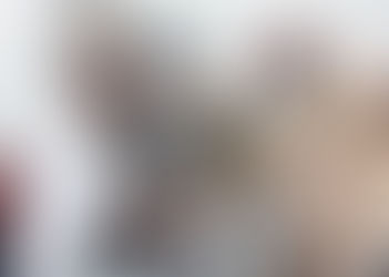 NE SURPASSEZ JAMAIS LE MAÎTRE