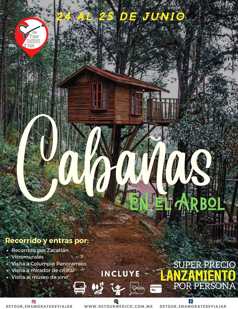 Cabañas en el Arbol 