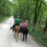 11270038_10100756914649251_1186213481025890523_n