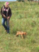 11889568_10100823511947731_6400638786417500588_n