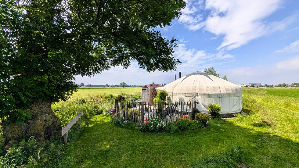 Yurt Orion in de zomer met privéterras en bloemenrand, vrij gelegen in het groene Achterhoekse landschap.