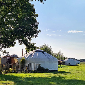Drie luxe yurts van Celestial Living in het weiland op een zonnige dag in het voorjaar.