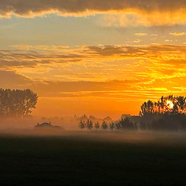 Het weiland gezien vanaf het terras van Yurt Venus: een goudgele zonsopkomst met ochtendnevel.
