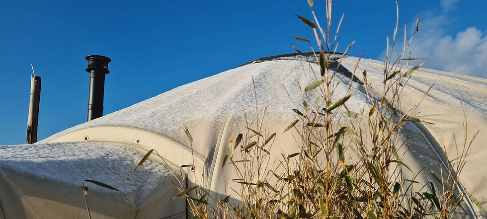 Bevroren dak van een yurt met ijzel – de magie van overnachten in een yurt in de winter