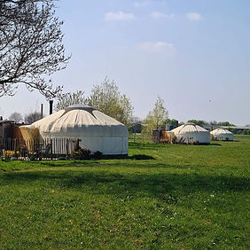 Uitzicht op drie yurts in het Achterhoekse landschap – ruimte, stilte en eenvoud