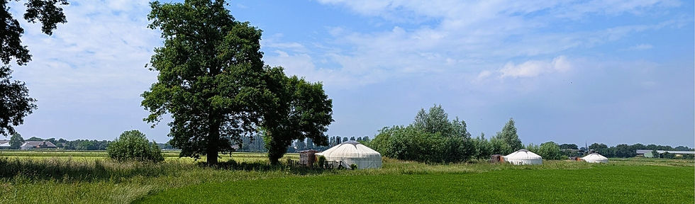 De drie vrijstaande yurts Orion, Sirius en Venus langs de rand van het weiland onder een zonnige wolkenlucht.