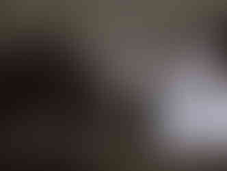 Yurt op Texel met stapel haardhout ernaast - eenvoudige retreatplek in de natuur.