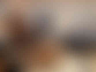 10. Yurt Venus doorkijk vanaf de deur: warm aards interieur met bed en zithoek, intiem en geborgen in de natuur.