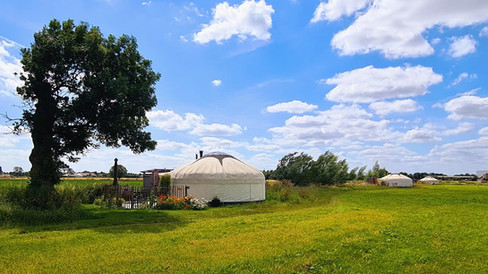 Drie yurts in een zomers weiland met wolkenlucht, leven met de seizoenen bij Celestial Living.