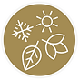 Seizoensiconen in cirkel – symbool voor slow living in het ritme van de natuur