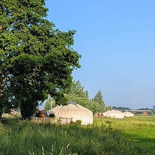 Yurts in een groen weiland met bomen op een zonnige dag, vrij gelegen in het Achterhoekse landschap.