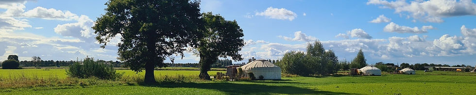 Drie luxe yurts in het weiland in de Achterhoek, een plek om alleen op retreat te gaan met ruimte en stilte.