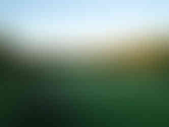 Uitzicht op de boomgaard in de vroege ochtend - rust, ruimte en retreatgevoel op Texel.