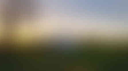 Drie yurts in de namiddagzon tijdens winterkamperen in de natuur.