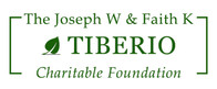 Tiberio Foundation footer logo