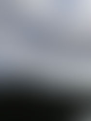 Dispatch from the Snake River