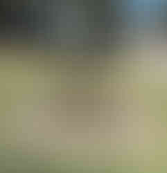 Small herb garden with young plants in raised beds near cabins and a distant ocean view.