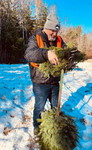 Bill in a snow-covered clearing, smiling while bundling fir branches around a wooden stake, dressed in cold-weather gear.