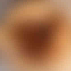 Seared lamb shanks resting on a plate before braising, browned and seasoned