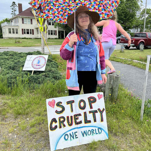 Woman holding a colorful umbrella and a sign that reads "STOP CRUELTY ONE WORLD" on a grassy roadside.