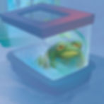 Sad Frog