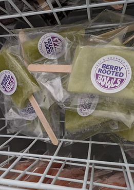 WhatsApp Image 2026-01-21 at 11.55.08 AM.jpeg