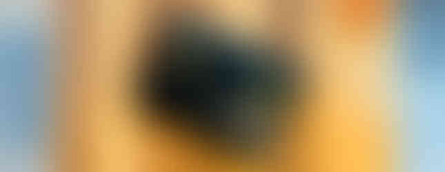 ブラックのピコウォレット(ミニウォレット)