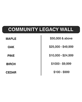 Donate Today Recognition Wall Posts.png