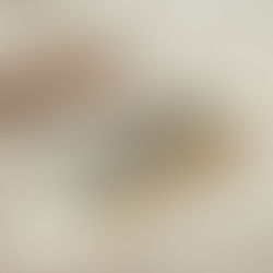 กลอนประตูแบบต่างๆ