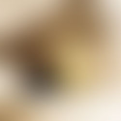 บานพับผีเสื้อ รับน้ำหนักได้กี่กิโล